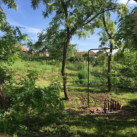 Uragya Vendeghaz Hotel Mád Екстериор снимка